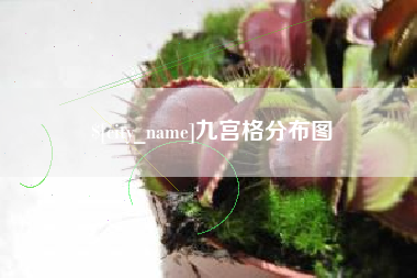 沂南九宫格分布图