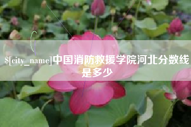 沂南中国消防救援学院河北分数线是多少