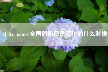 沂南全国消防日是每年的什么时候