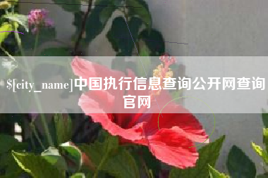 沂南中国执行信息查询公开网查询官网
