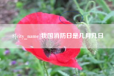沂南我国消防日是几月几日
