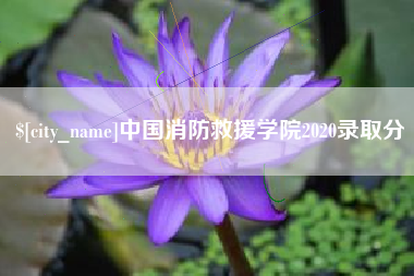沂南中国消防救援学院2020录取分