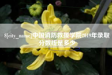沂南中国消防救援学院2019年录取分数线是多少