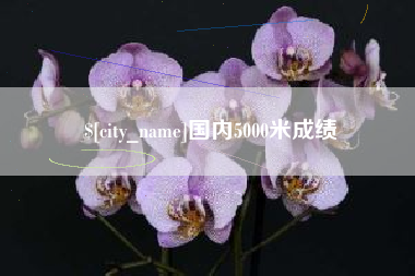 沂南国内5000米成绩