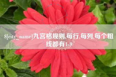沂南九宫格规则,每行,每列,每个粗线都有1-9