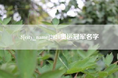 沂南2024奥运冠军名字