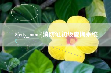 沂南消防证初级查询系统