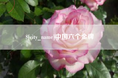沂南中国六个金牌