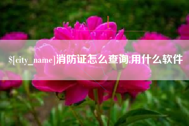 沂南消防证怎么查询,用什么软件