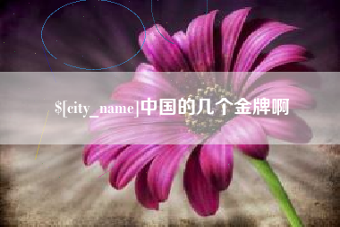 沂南中国的几个金牌啊