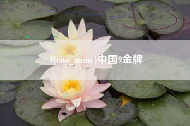 沂南中国9金牌