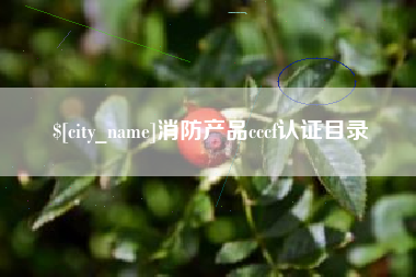 沂南消防产品cccf认证目录