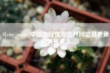 沂南中国执行信息公开网信息更新时间是多久