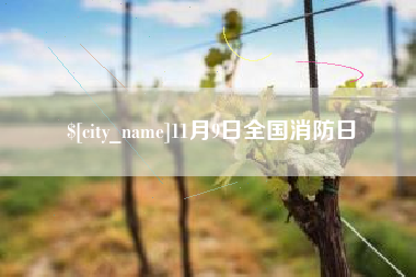 沂南11月9日全国消防日