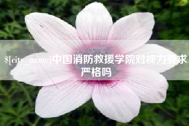 沂南中国消防救援学院对视力要求严格吗