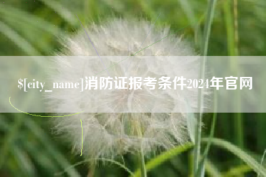 沂南消防证报考条件2024年官网