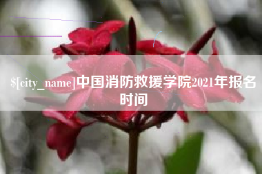 沂南中国消防救援学院2021年报名时间