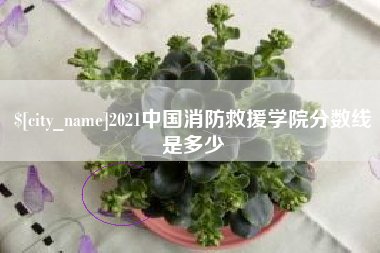 沂南2021中国消防救援学院分数线是多少