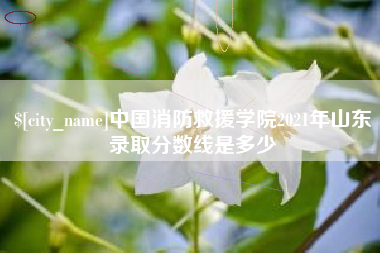 沂南中国消防救援学院2021年山东录取分数线是多少
