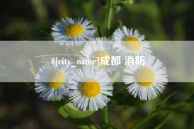 沂南成都 消防