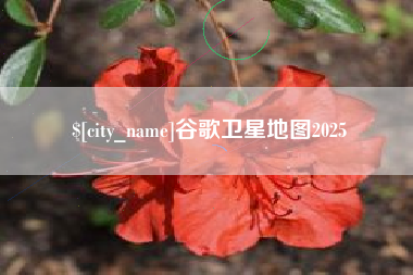 沂南谷歌卫星地图2025