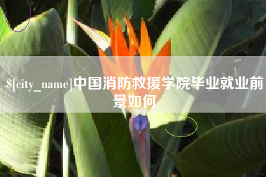 沂南中国消防救援学院毕业就业前景如何