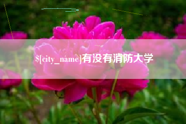 沂南有没有消防大学