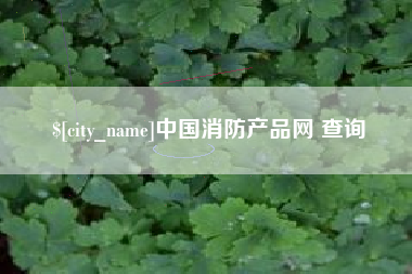 沂南中国消防产品网 查询