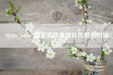 沂南国家消防救援队伍报名网址