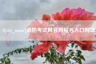 沂南消防考试网官网报名入口网址
