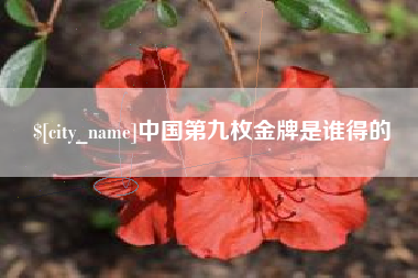 沂南中国第九枚金牌是谁得的