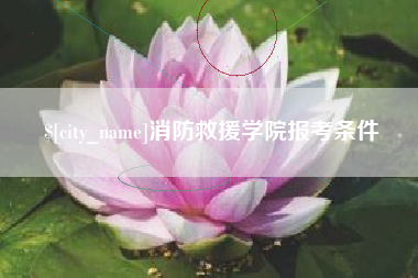 沂南消防救援学院报考条件