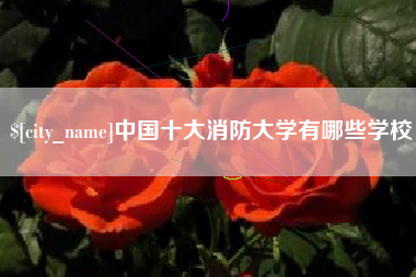 沂南中国十大消防大学有哪些学校