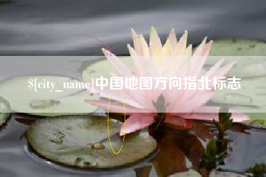 沂南中国地图方向指北标志