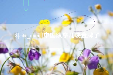 沂南中国队拿几块金牌了