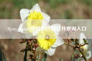 沂南中国执行网公开查询入口