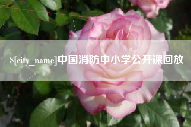 沂南中国消防中小学公开课回放
