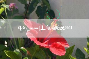 沂南上海消防员2021
