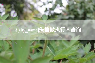 沂南失信被执行人杳询