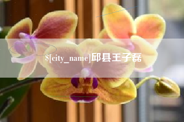 沂南邱县王子磊