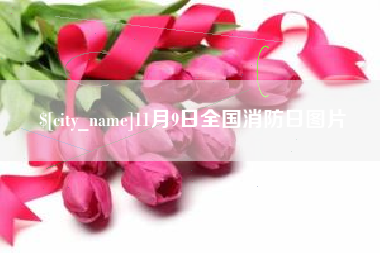 沂南11月9日全国消防日图片