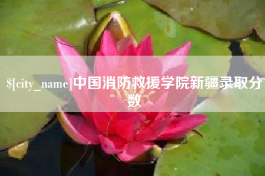 沂南中国消防救援学院新疆录取分数