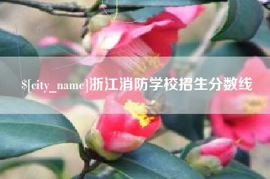沂南浙江消防学校招生分数线