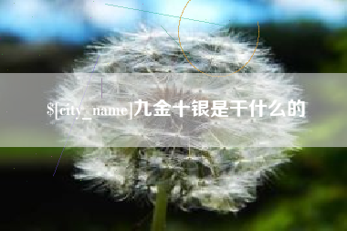 沂南九金十银是干什么的