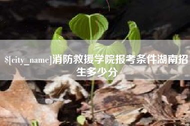 沂南消防救援学院报考条件湖南招生多少分