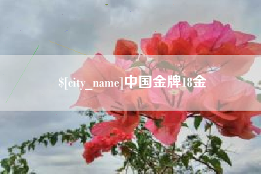 沂南中国金牌18金