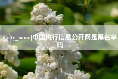 沂南中国执行信息公开网是黑名单吗
