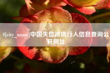 沂南中国失信被执行人信息查询公开网址