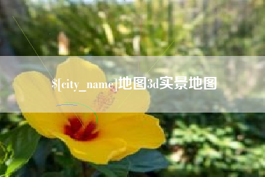 沂南地图3d实景地图