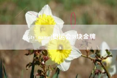 沂南奥运会39块金牌